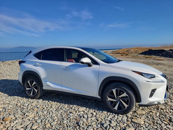 2020 Lexus NX 300h I Рестайлинг, белый, 3950000 рублей - вид 11