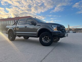 2018 Ford F-150 XIII Рестайлинг, серый, 5750000 рублей, вид 4