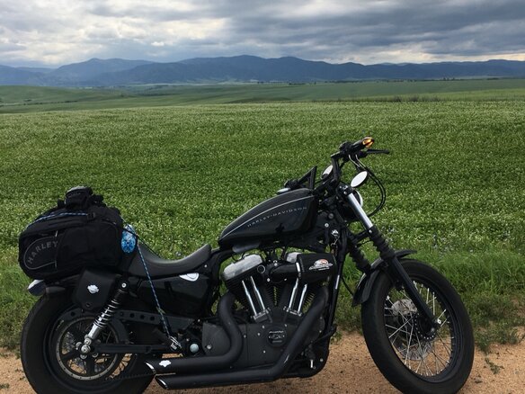 2007 Harley-Davidson Sportster 1200, чёрный - вид 2