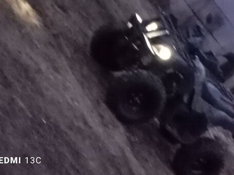 2025 Motoland ATV 200 Allroad, зелёный, 160000 рублей, вид 4