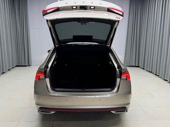 2023 Skoda Octavia IV (A8), коричневый - вид 6