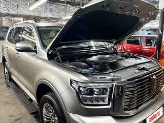 2023 Tank 500 I, серый, 4900000 рублей, вид 4