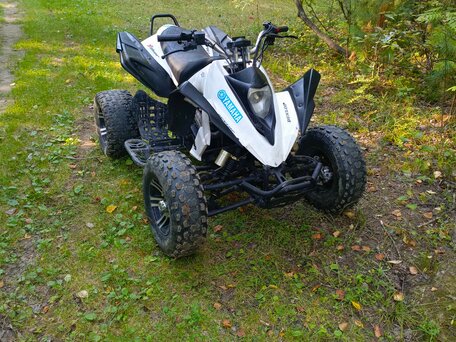 2015 ABM Scorpion 250, белый, 120000 рублей, вид 3