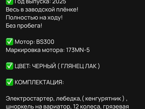 2024 Loncin XWolf 300, чёрный, 340000 рублей - вид 23