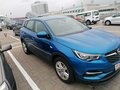 2018 Opel Grandland I (X), синий, 1288610 рублей - вид 10