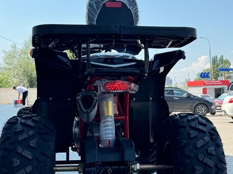 2024 Другие ATV (другие), чёрный, 230000 рублей, вид 3
