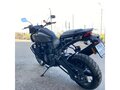 2021 Harley-Davidson Pan America, коричневый - вид 4