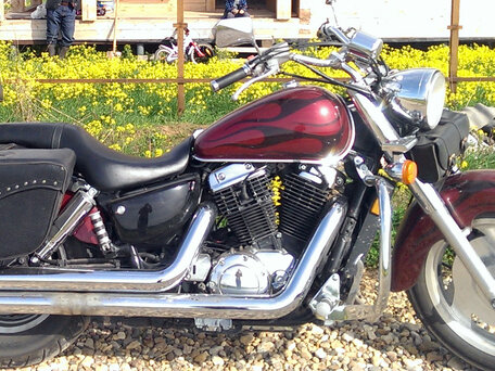 2002 Honda VT 1100, пурпурный, 350000 рублей, вид 1