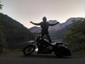 1988 Honda VT 1100, пурпурный - вид 6