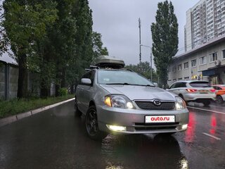 2001 Toyota Corolla Fielder IX (E120, E130), серый, 500000 рублей, вид 2