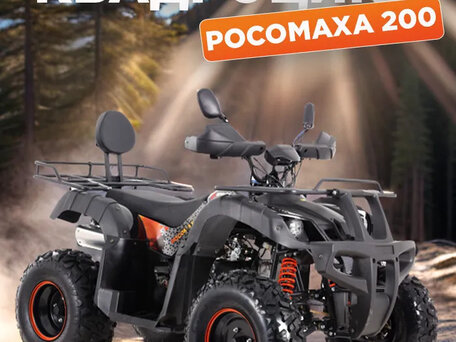 2025 Другие ATV (другие), золотистый, 215000 рублей, вид 3