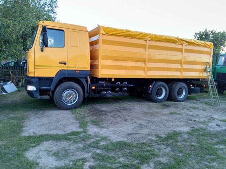 2013 МАЗ 6501, золотистый, 3292704 рублей, вид 3