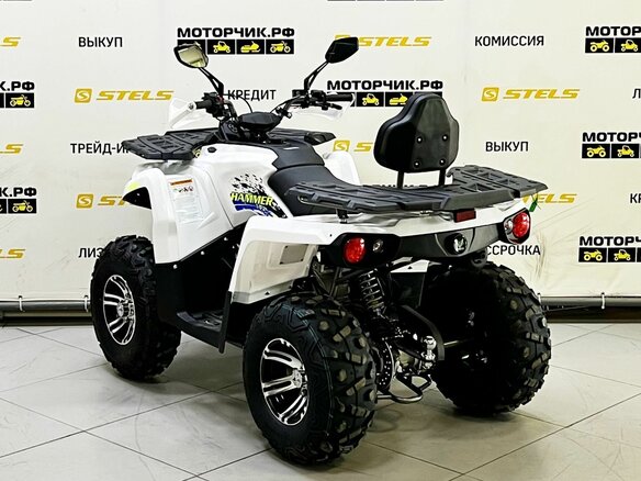 2025 Bison ATV200, чёрный - вид 7
