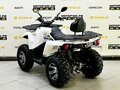 2025 Bison ATV200, чёрный - вид 7