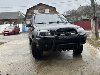 2008 Chevrolet Niva I, зелёный, 500000 рублей, вид 3
