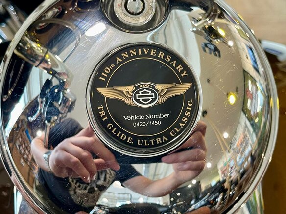 2013 Harley-Davidson Tri Glide, коричневый, 2500000 рублей - вид 12