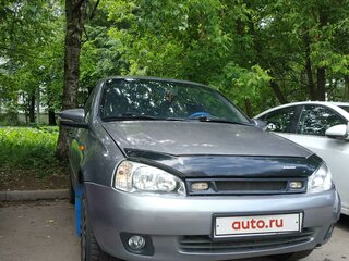 2009 Lada (ВАЗ) Kalina I, серый, 250000 рублей, вид 2