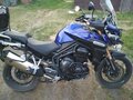 2012 Triumph Tiger Explorer, синий - вид 4