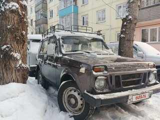 1985 Lada (ВАЗ) 2121 (4x4) I, серый, 230000 рублей, вид 1