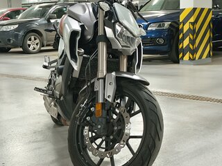 2020 Regulmoto Alien Monster, серебристый, 220000 рублей, вид 3