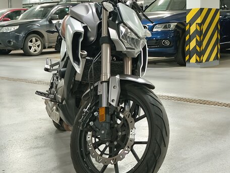 2020 Regulmoto Alien Monster, серебристый, 220000 рублей, вид 3
