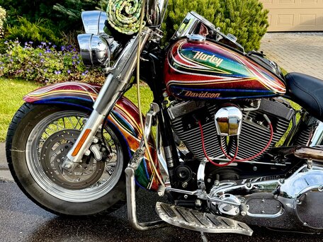2004 Harley-Davidson Heritage, красный, 2000000 рублей, вид 3