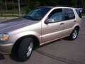 2002 Mercedes-Benz M-Класс 320 I (W163) Рестайлинг, золотистый - вид 2