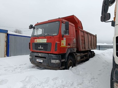 2019 МАЗ 6501, красный, 1811350 рублей, вид 1
