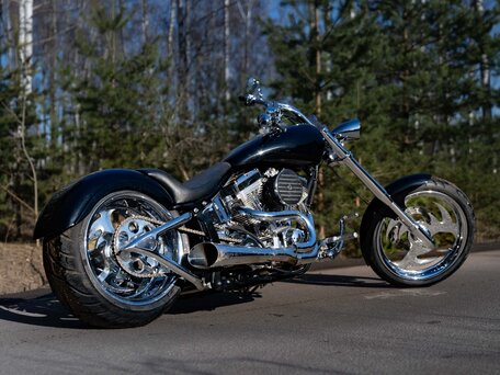 2009 Harley-Davidson Softail Custom, чёрный, 1200000 рублей, вид 4