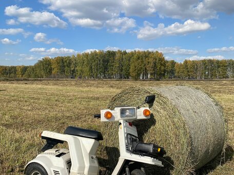 2000 Honda Gyro, белый, 69000 рублей, вид 2