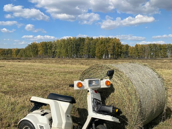 2000 Honda Gyro, белый, 69000 рублей - вид 1