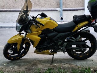 Sym Wolf T2