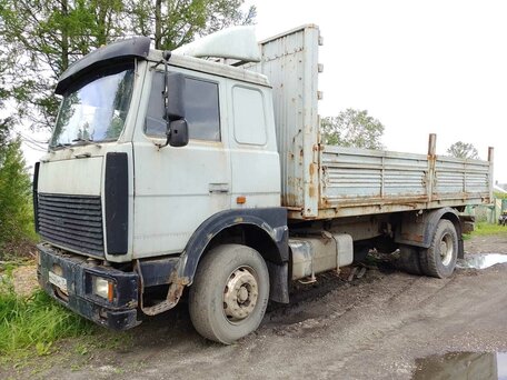 2002 МАЗ 5336, серый, 449000 рублей, вид 1