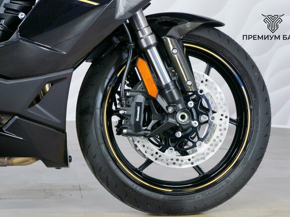 2026 Kawasaki Ninja 1100 SX, коричневый, 1649000 рублей - вид 10