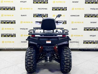2025 Bashan Explorer 320, белый, 549000 рублей, вид 4