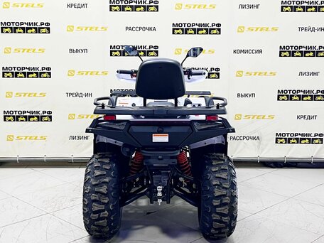 2025 Bashan Explorer 320, белый, 549000 рублей, вид 4