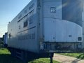 2011 Schmitz Cargobull SKO, белый, 3450000 рублей - вид 2