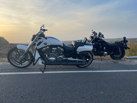 2011 Harley-Davidson V-Rod Muscle, белый, 1300000 рублей, вид 3