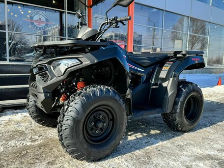 2024 Loncin XWolf 200, чёрный, 250000 рублей, вид 1