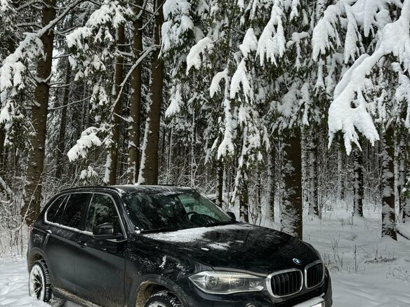 2014 BMW X5 30d III (F15), чёрный - вид 15