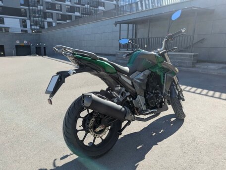 2022 Regulmoto T-Leopard 300, зелёный, 185000 рублей, вид 5