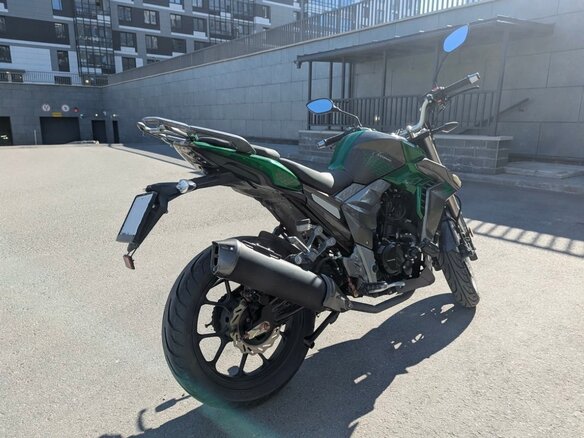 2022 Regulmoto T-Leopard 300, зелёный, 185000 рублей - вид 4