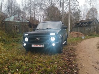 2011 Lada (ВАЗ) 2121 (4x4) I Рестайлинг, зелёный, 550000 рублей, вид 3