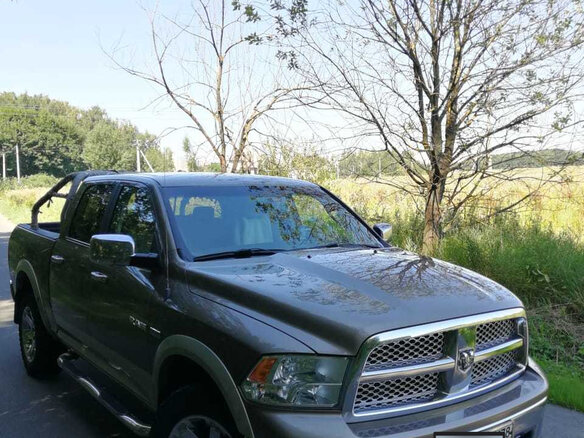 2010 Dodge RAM IV (DS/DJ), коричневый - вид 8