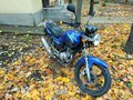 2009 Yamaha YBR125, синий - вид 2