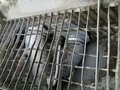 1990 КамАЗ Aвтобетононасос, коричневый, 2600000 рублей - вид 4