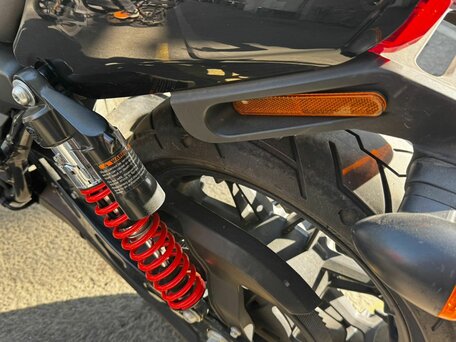 2019 Harley-Davidson Street Rod, чёрный, 599000 рублей, вид 4