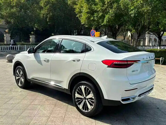 2021 Haval F7x I, белый, 1550898 рублей - вид 7
