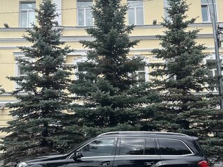 2016 Mercedes-Benz GLS 350 d I (X166), чёрный, 3850000 рублей, вид 3