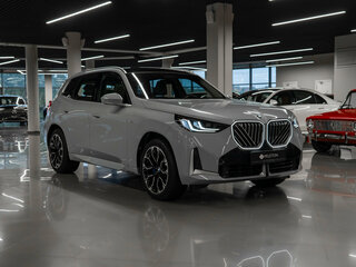 2025 BMW X3 Long 30L xDrive IV (G45/G48), серый, 6650000 рублей, вид 2